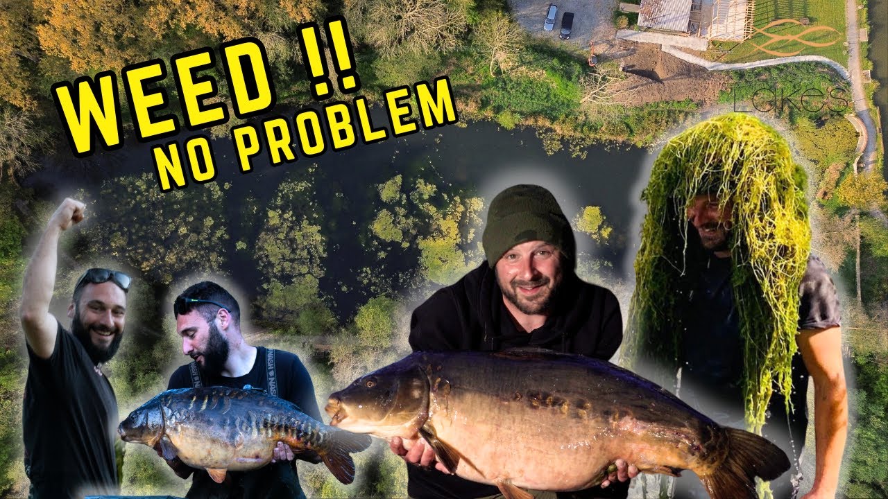 Summer Carp Fishing in Weed!