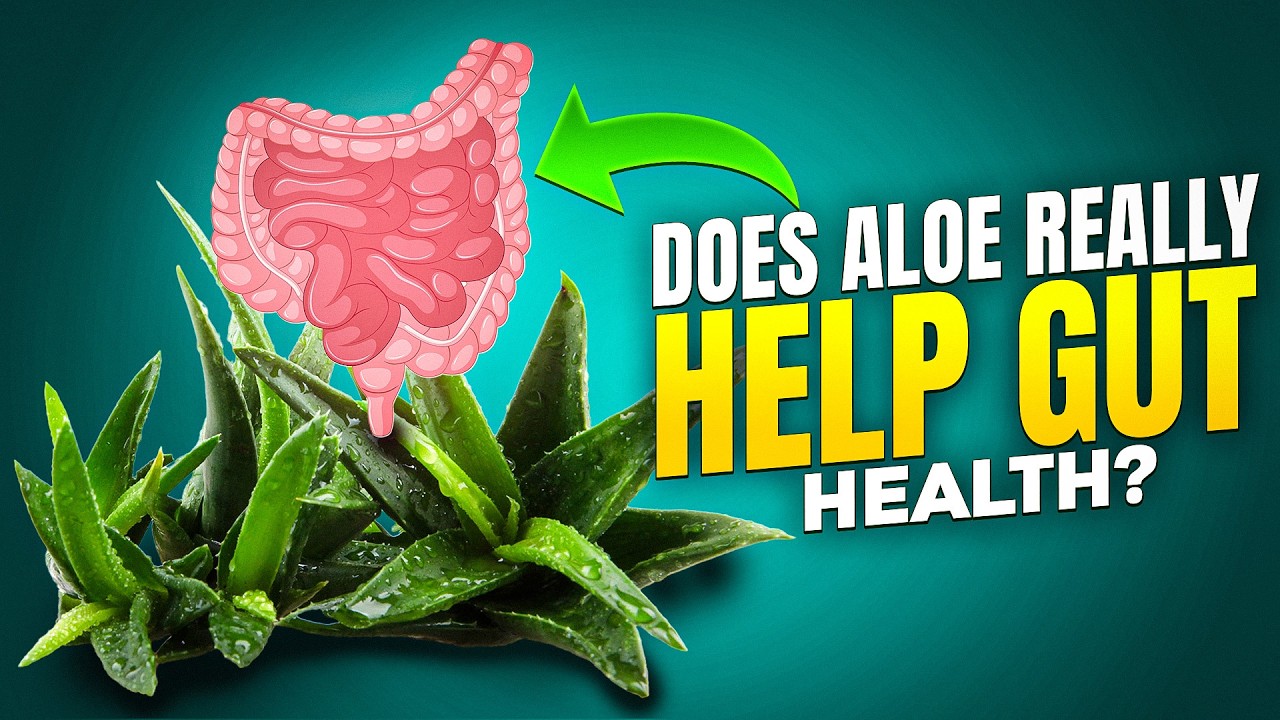 Top 3 Gut Health Benefits of Aloe Vera