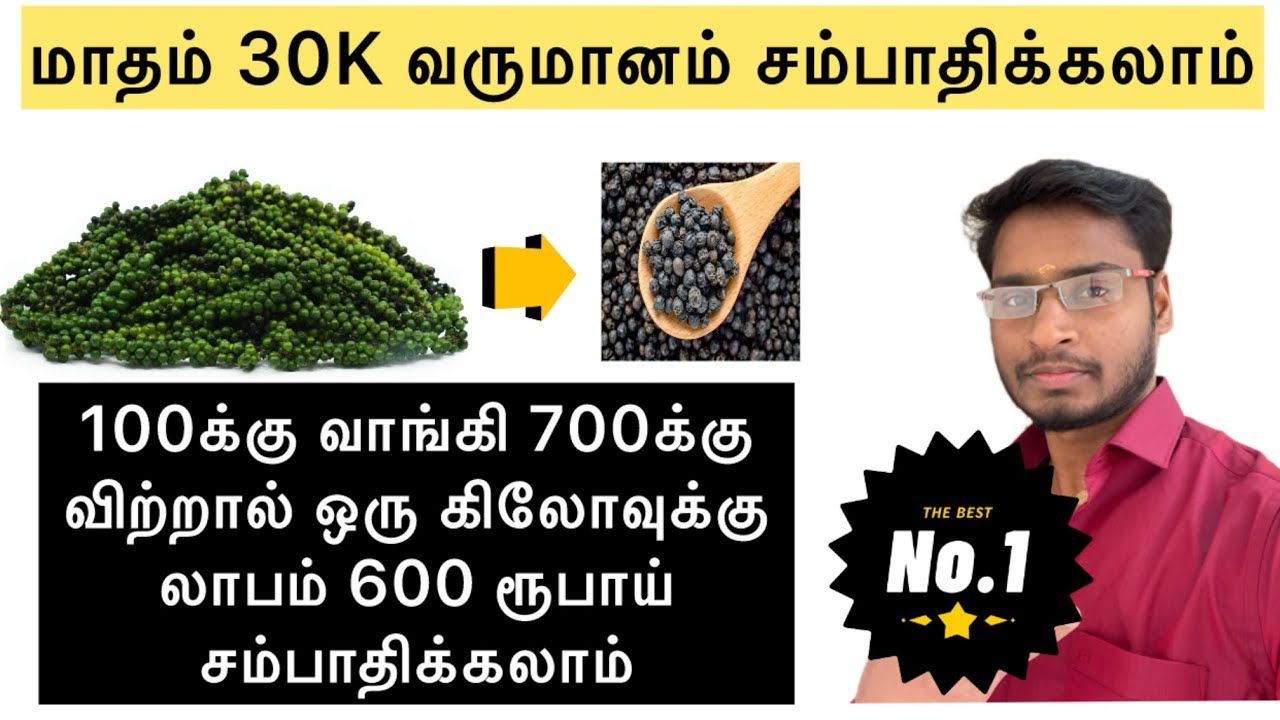 மிளகு தொழிலில் மாதம் 30K சம்பாதிக்கலாம் #blackpepperrelatedvideos @easywaytobusiness 