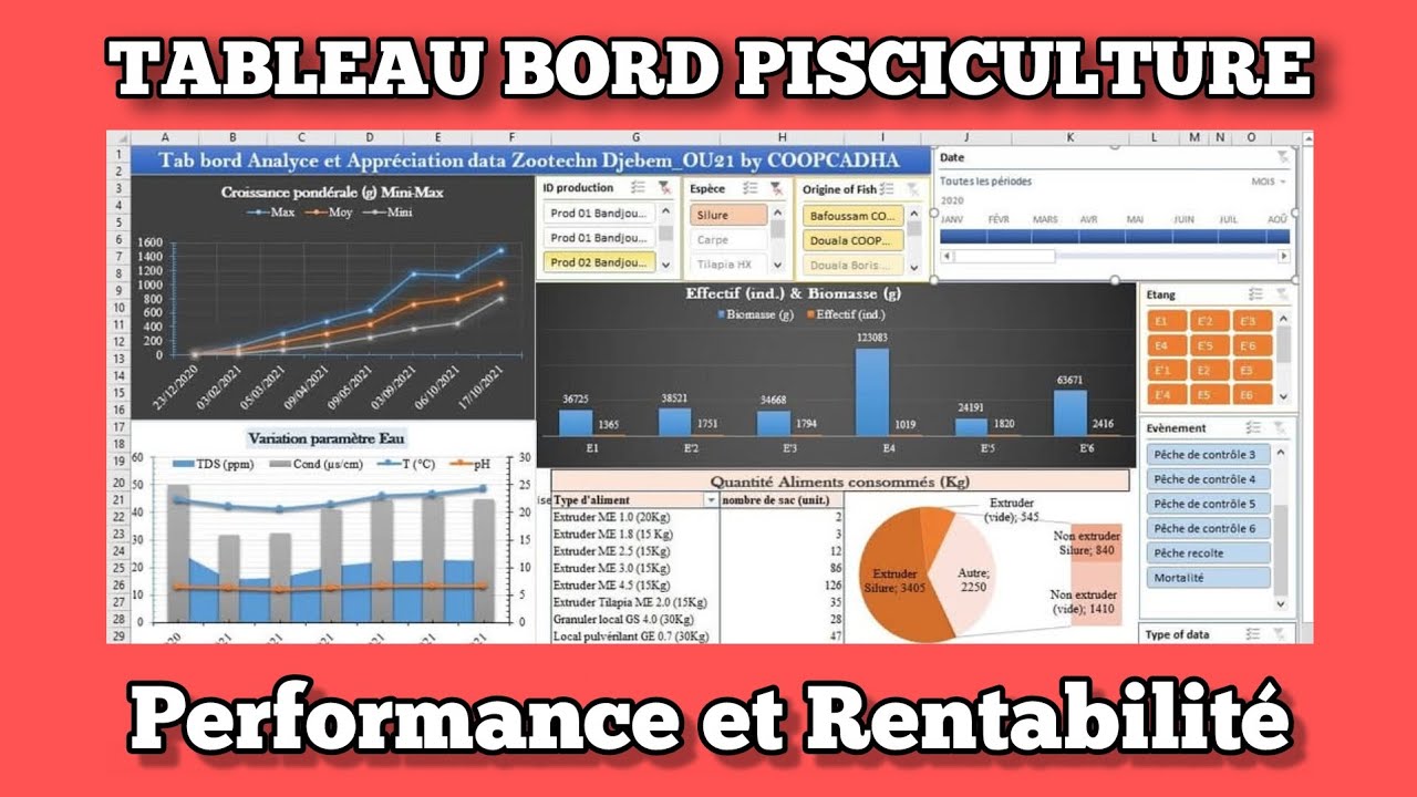 🎈 BIEN GÉRER et RENTABILISER sa FERME PISCICOLE SEREINEMENT avec un TABLEAU de BORD | POSSIBLE ?