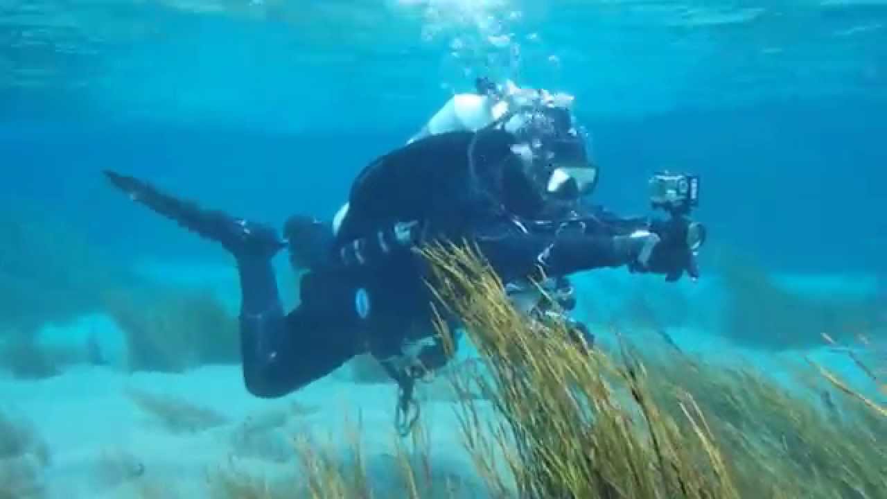Il magico mondo subacqueo della Riserva Naturale Regionale Sorgenti del Pescara
