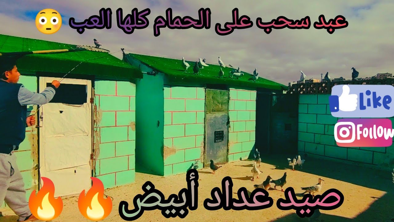 صيد اليوم عداد أبيض وهرب مسود مكبي احمر ✌️