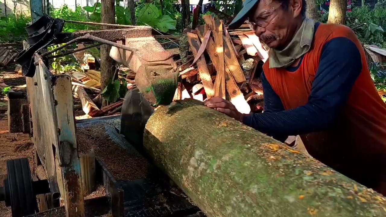 Merajang kayu sengon laut‼️ gergaji bundar serkel rakitan