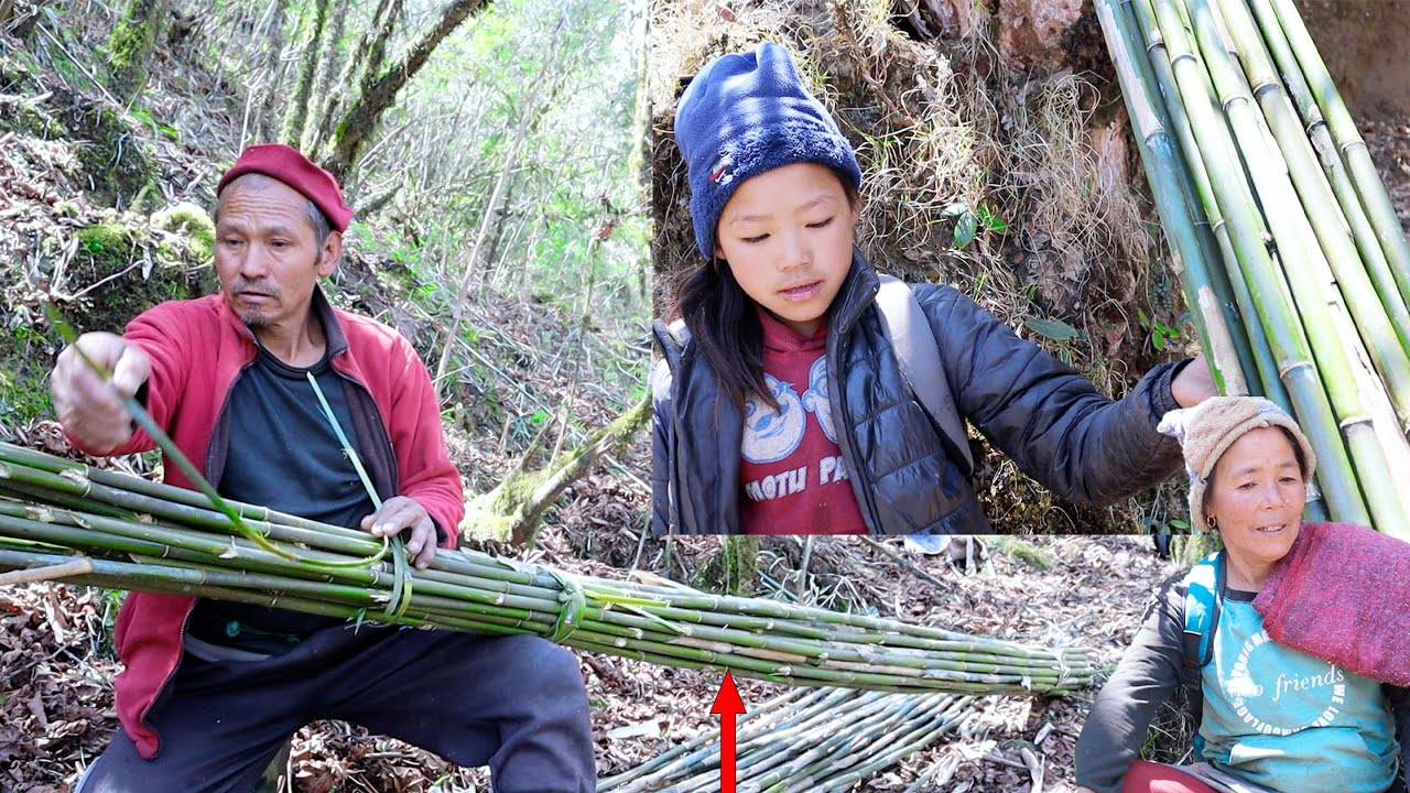 Bungwa going to cut Himalayan Small bamboo with parents