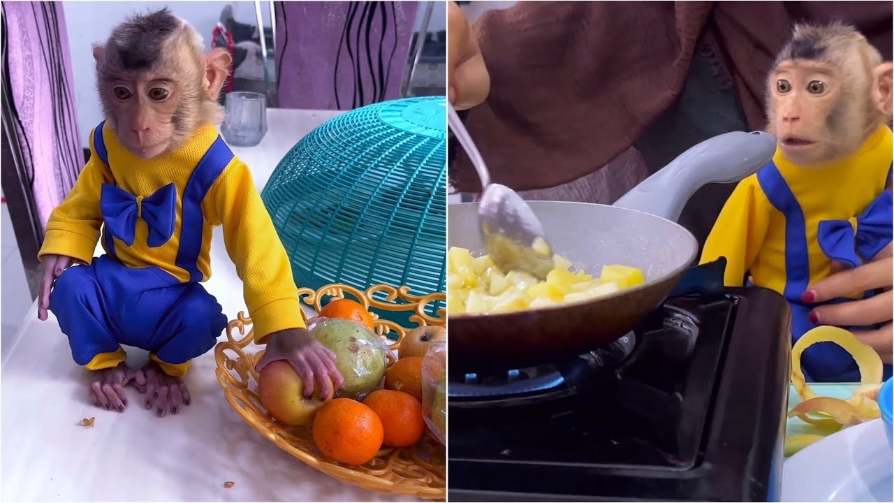 How Smart! Alpha helps mom prepare breakfast to eat with Baby Dino