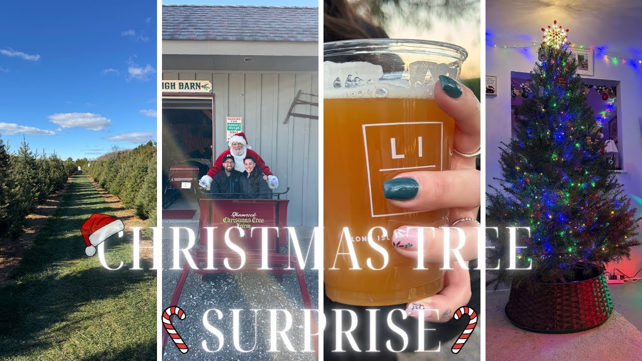 A Christmas Tree Adventure We’ll Never Forget 👀🎄