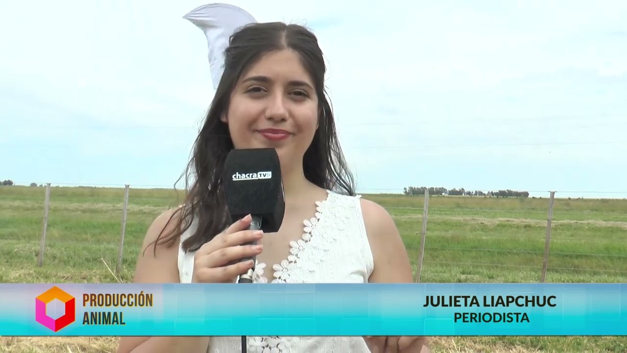 PRODUCCIÓN ANIMAL 250