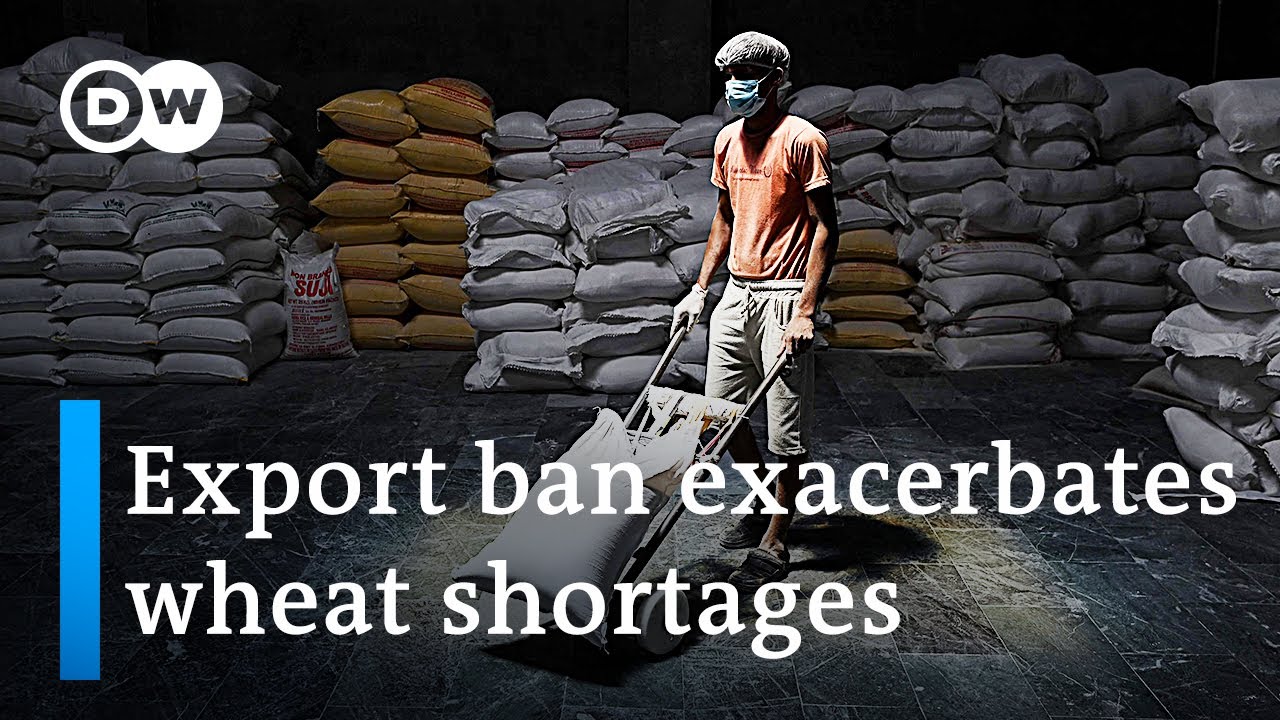 Heat waves push India to ban export of wheat | DW News
