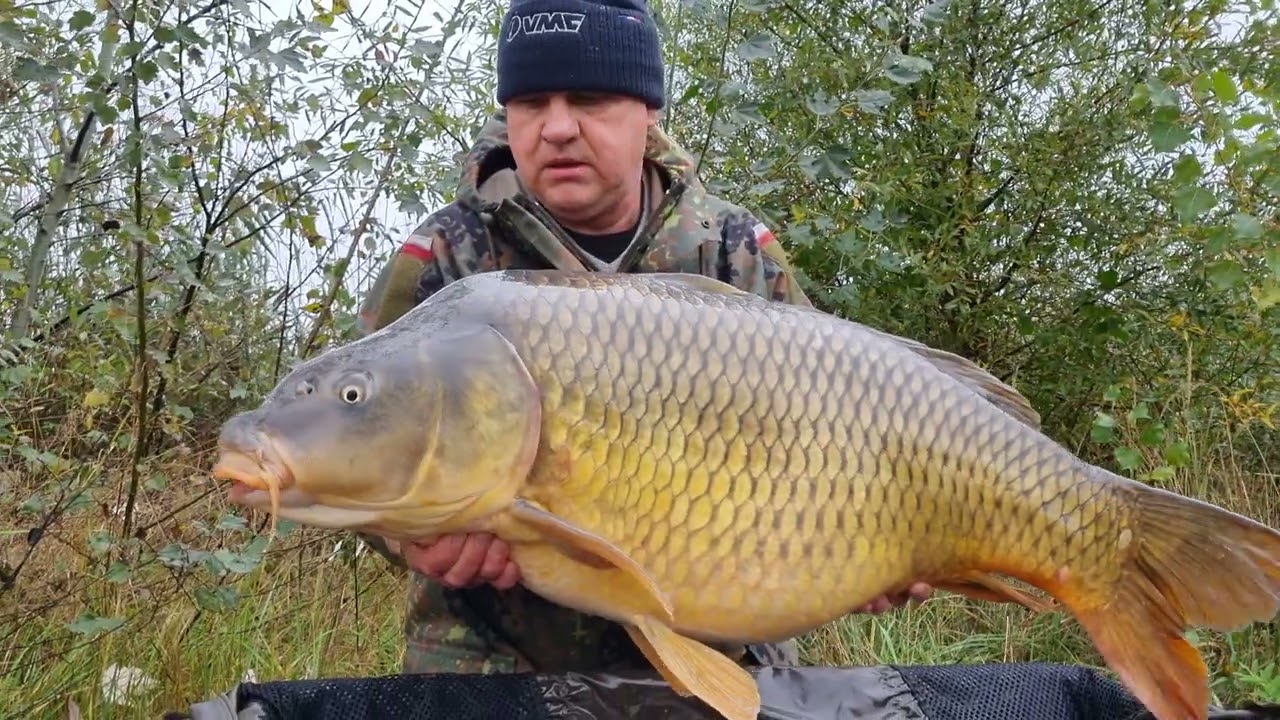Wspomnienie jesieni 2023 🍁🎣 CARPMIX.PL