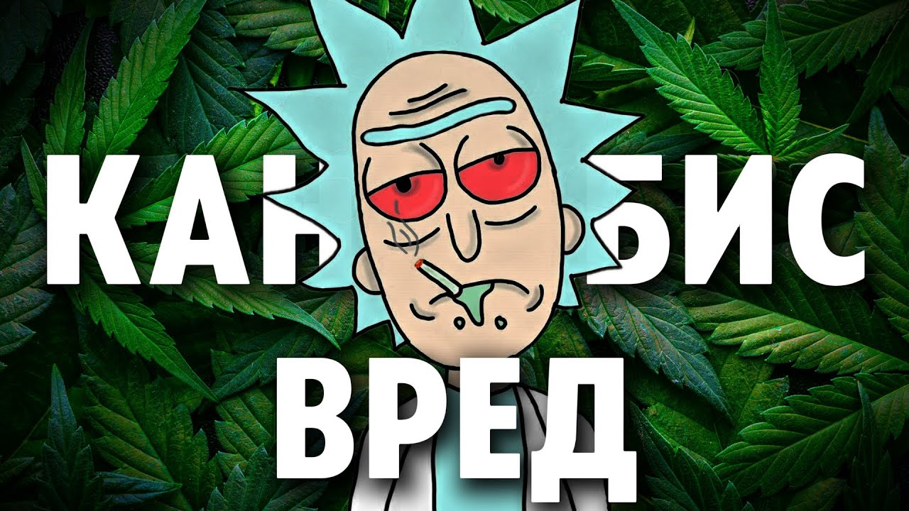 Вред от КАННАБИСА | Нейробиология действия КАННАБИСА