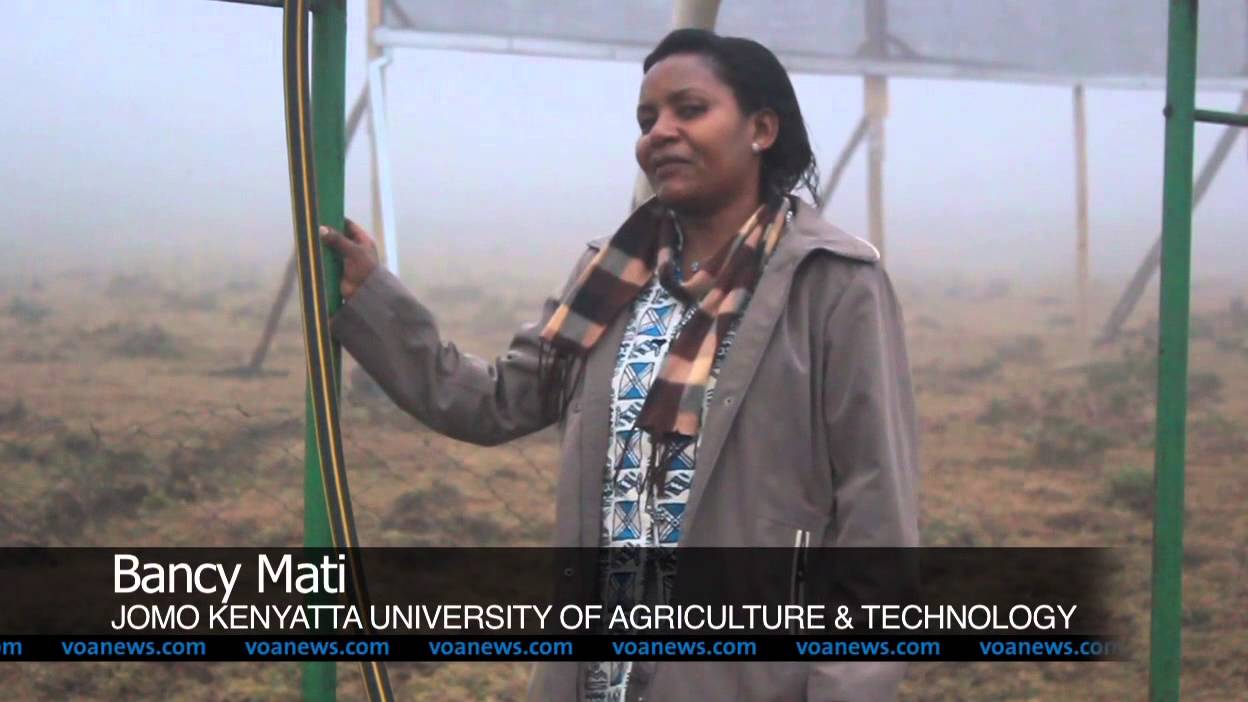 Fog Collector Transforming Maasai Water Harvesting in Kenya