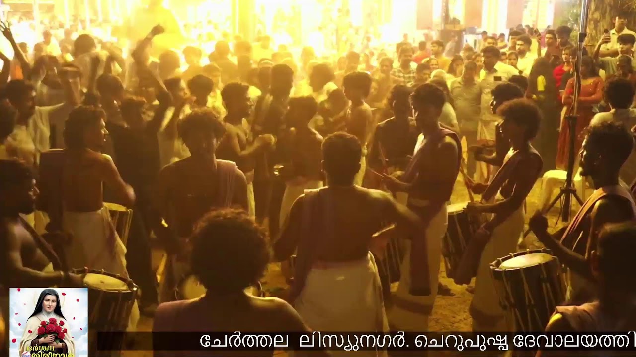 Joseph Thekkinedath Live Stream