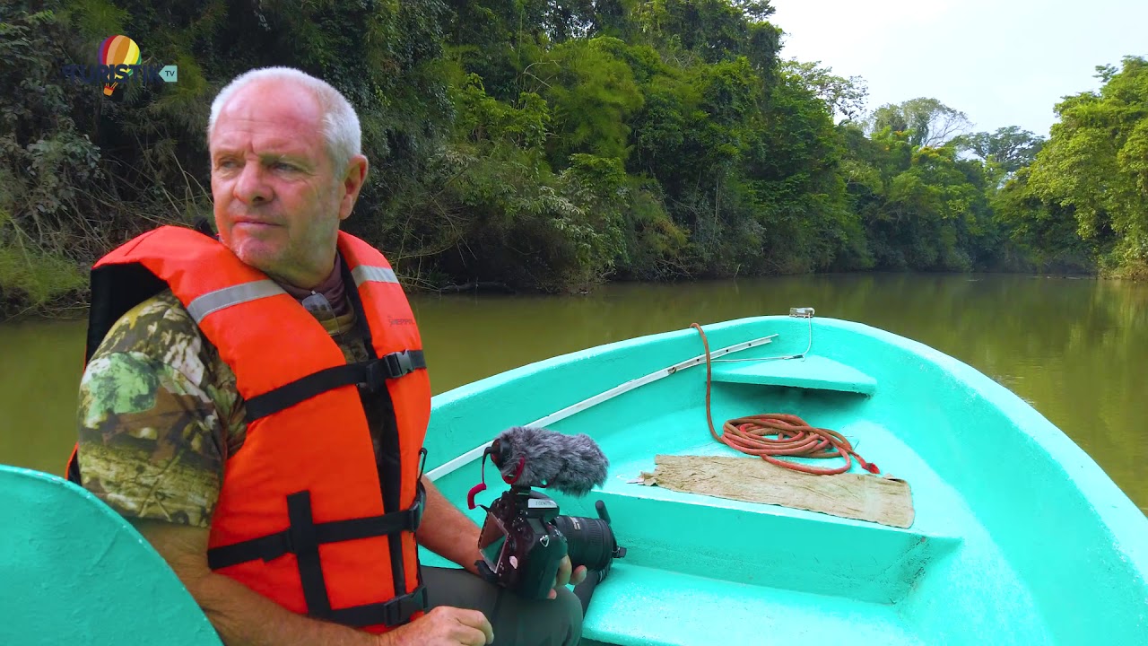 Temp. 6 Guacamayas de Chiapas