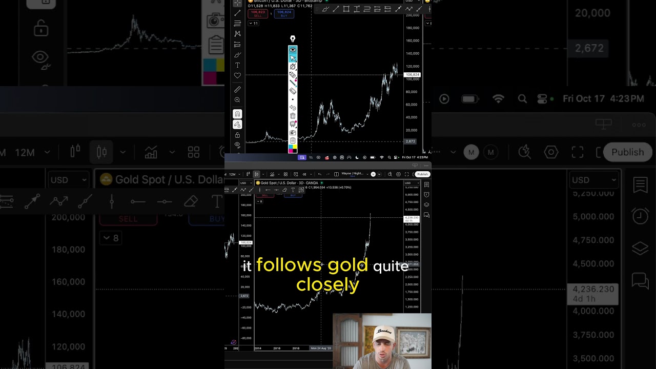 BTC/Gold: The Chart No One Shows | @TraderMayne  #bitcoin #gold  #crypto  #tradermayne  #trading