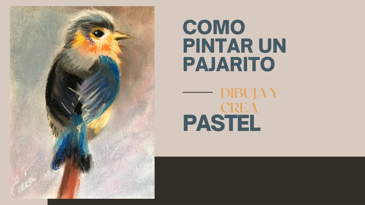 COMO PINTAR UN PAJARO EN PASTEL