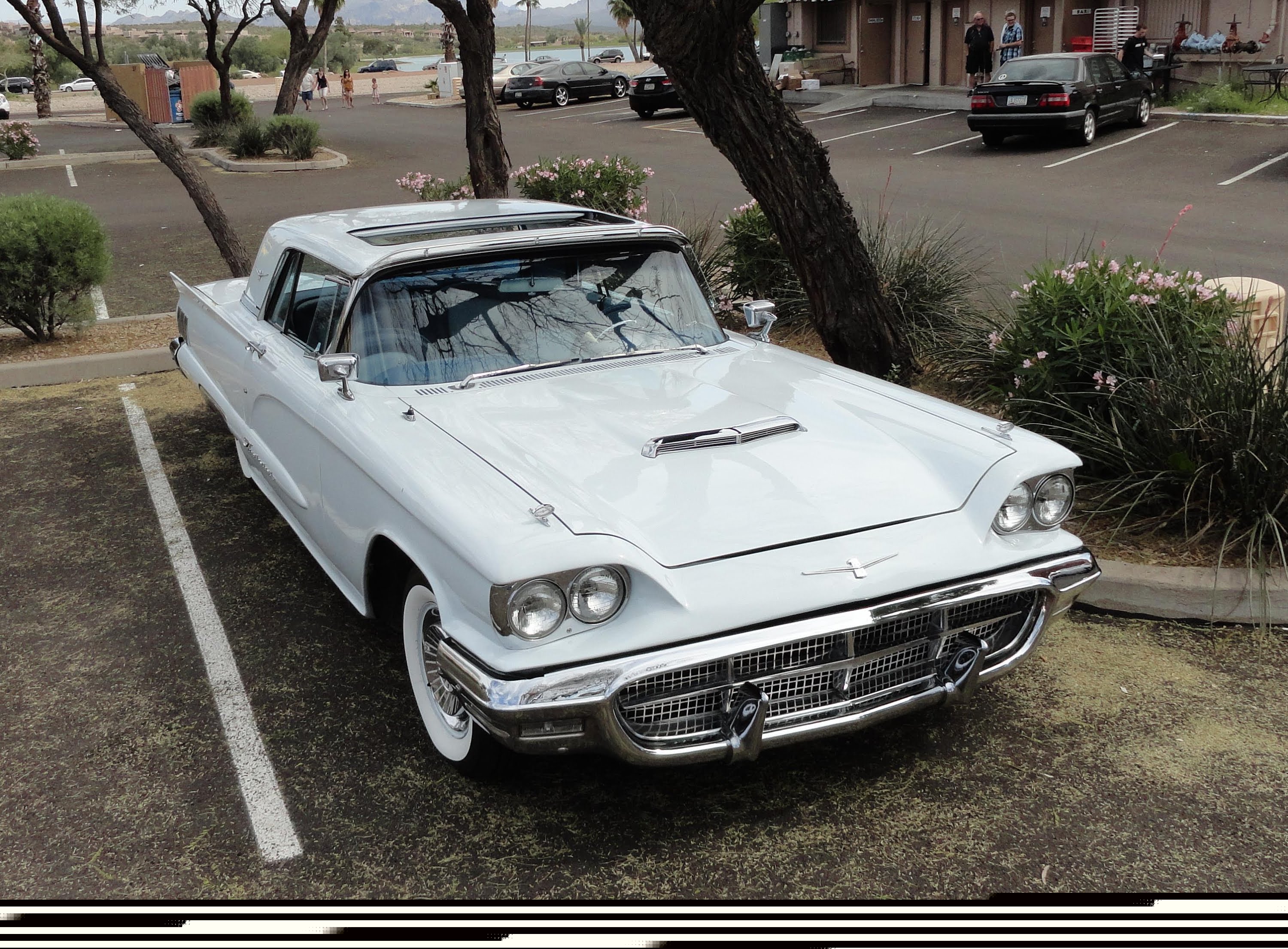 1960 Ford Thunderbird T Bird Hardtop with Rare Factory Sun Roof - My Car Story with Lou Costabile