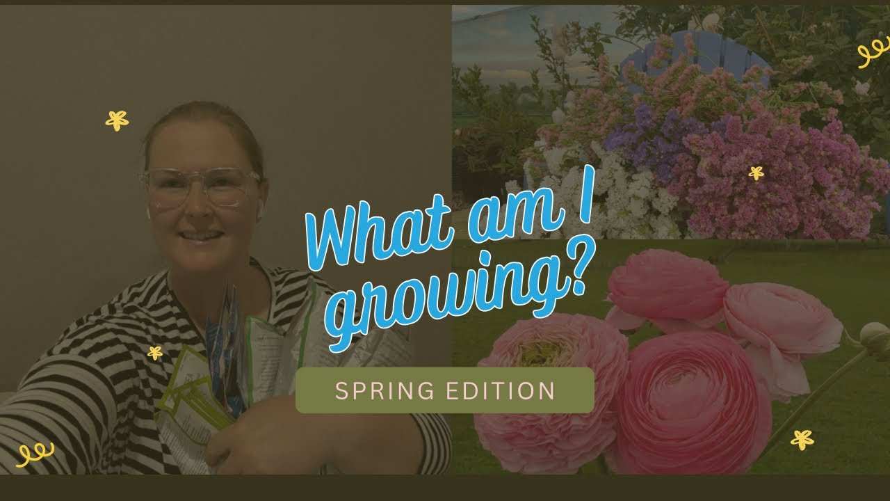 Come and chat what spring flowers I’m growing this year!