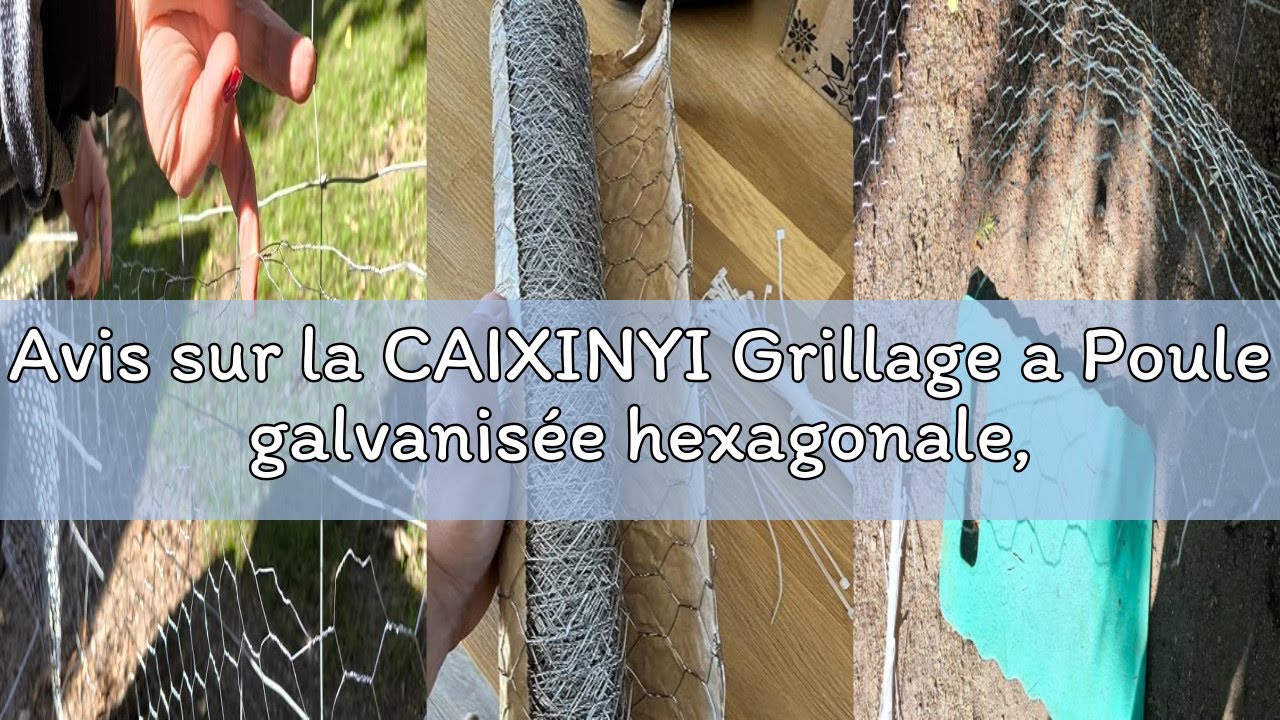 Avis sur la CAIXINYI Grillage a Poule galvanisée hexagonale,0,4 x 12 m, Grillage Fine Maille, Grilla