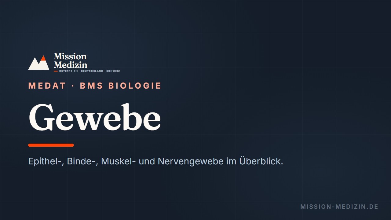 MedAT 2026 🔬 Lehrvideo zum Stichwort Gewebe des BMS-Teils Biologie 🔬
