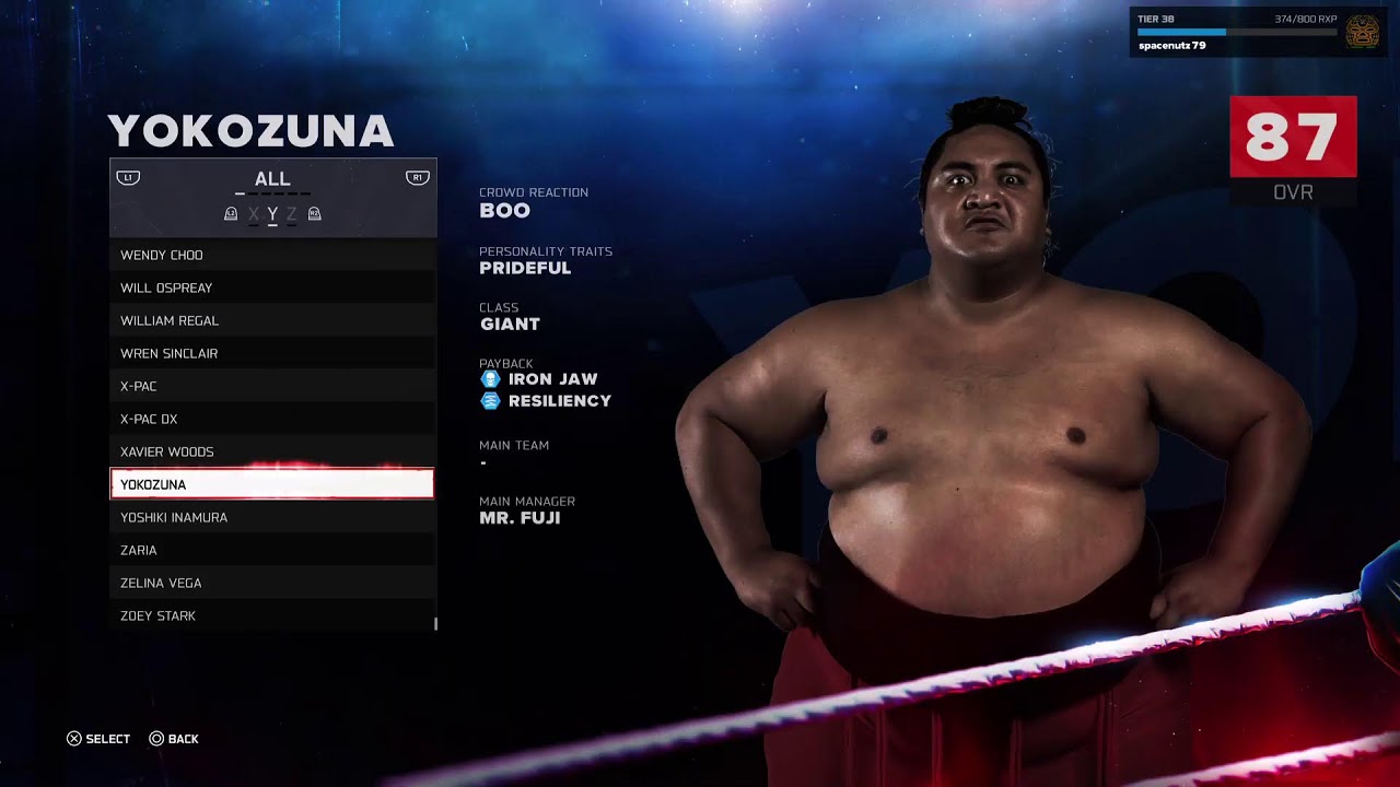WWE 2K Gameplay