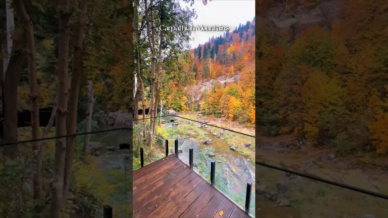 POV: Uciekasz w Karpaty na weekend 🍂🏔️🇺🇦 #jesień #POV #szorty #g&oacute;ry