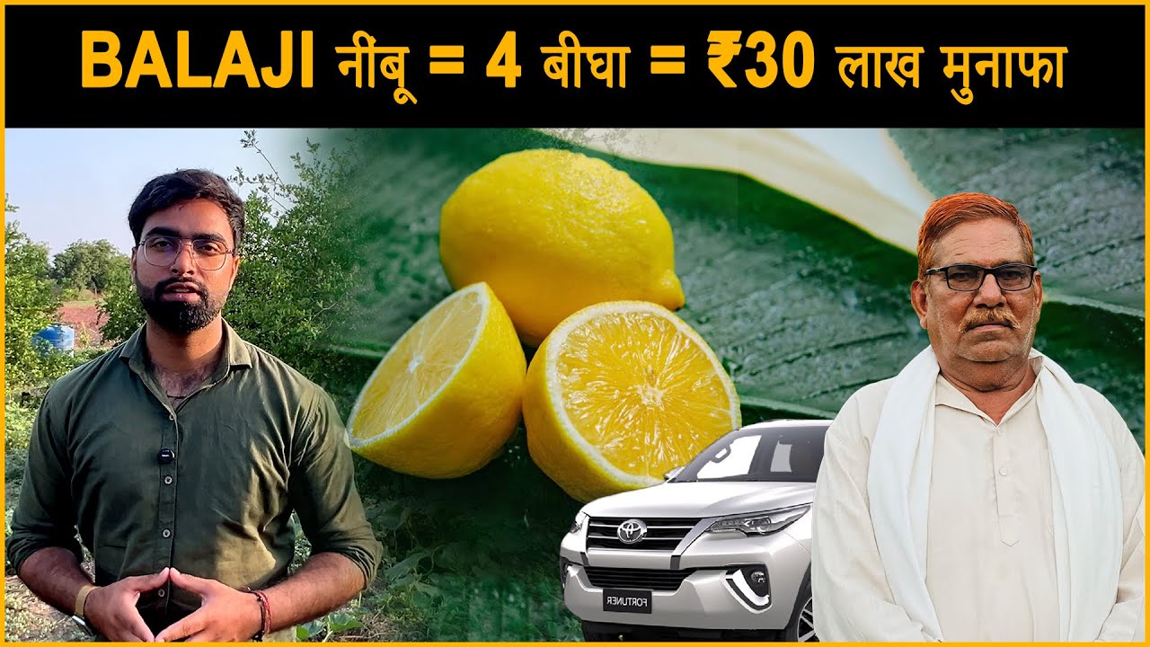 सिर्फ 4 बीघा में ₹30 लाख मुनाफा @bhartiyakisaan_bk | Lemon Farming | Best Lemon Verity