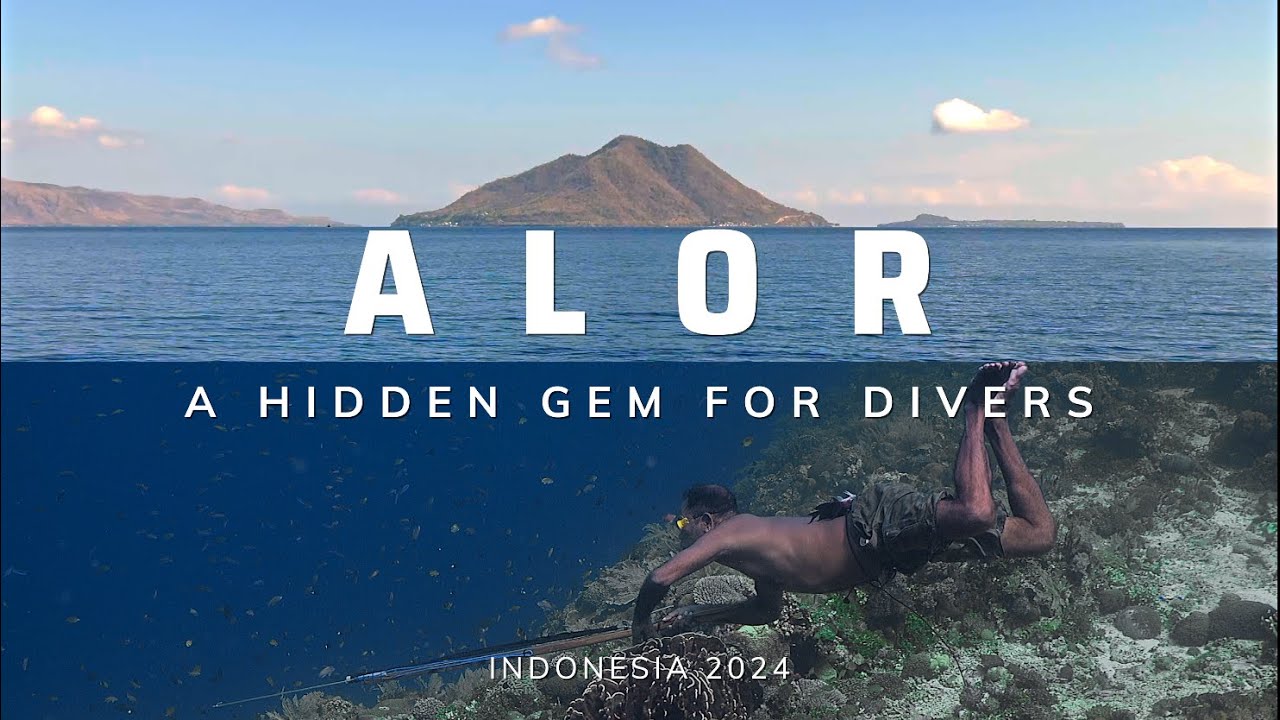 Alor: A Hidden Gem For Divers | Indonesia | 4K HDR | 2024