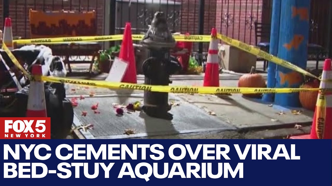 NYC cements over viral Bed-Stuy Aquarium