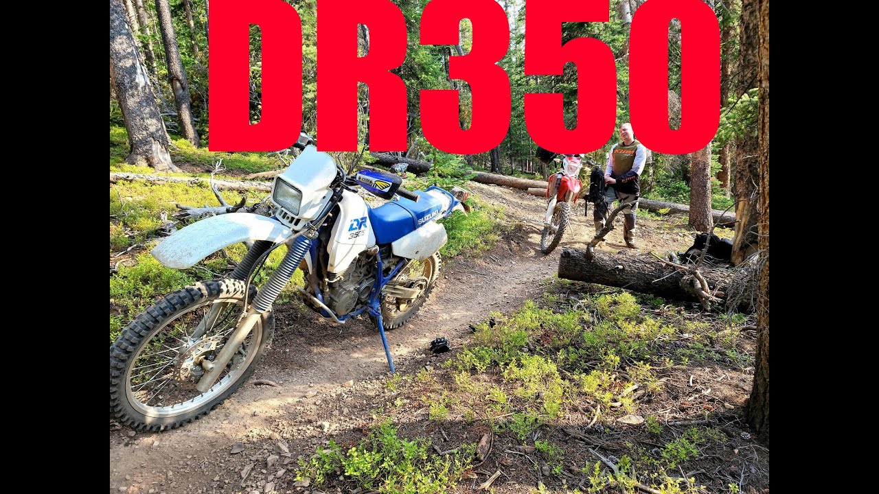 DR350 Single Track Breckenridge CO | Making An Old Dual Sport Feel New