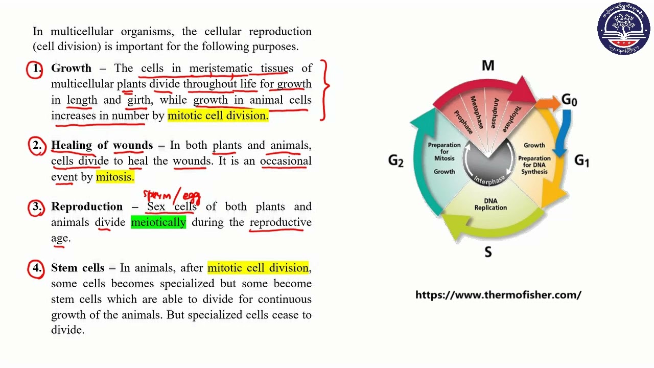 Grade 10 Biology Chapter 5 Part 15