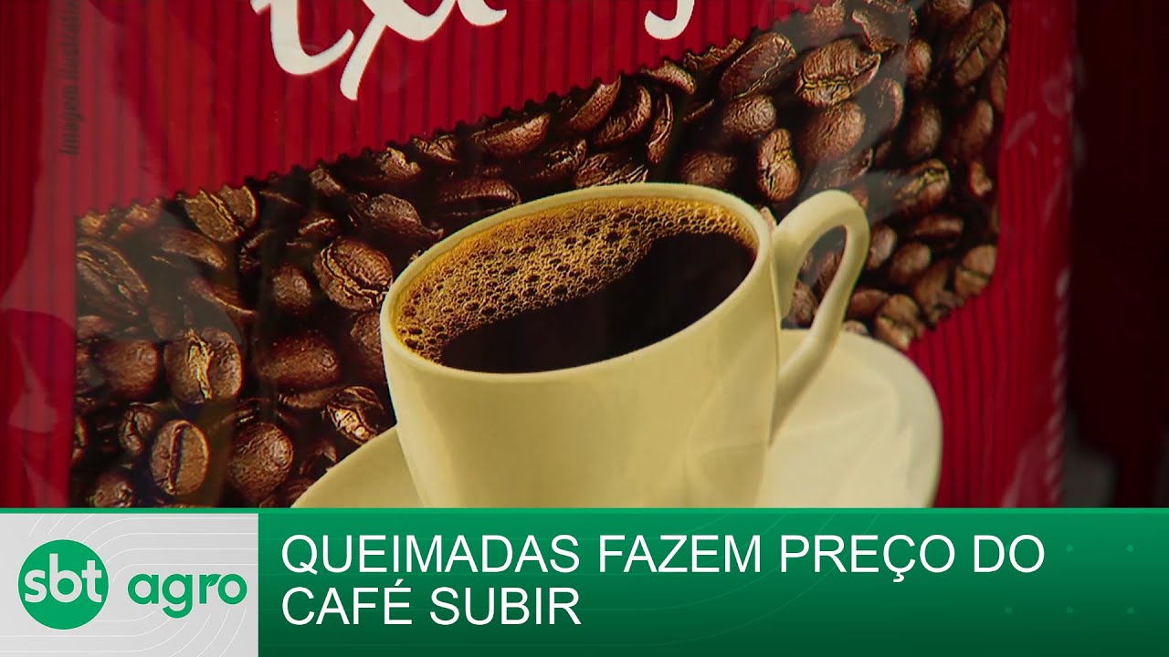 SBT Agro 30/09/2024 - Preço do café sobe quatro vezes mais que a inflação e atinge recorde histórico