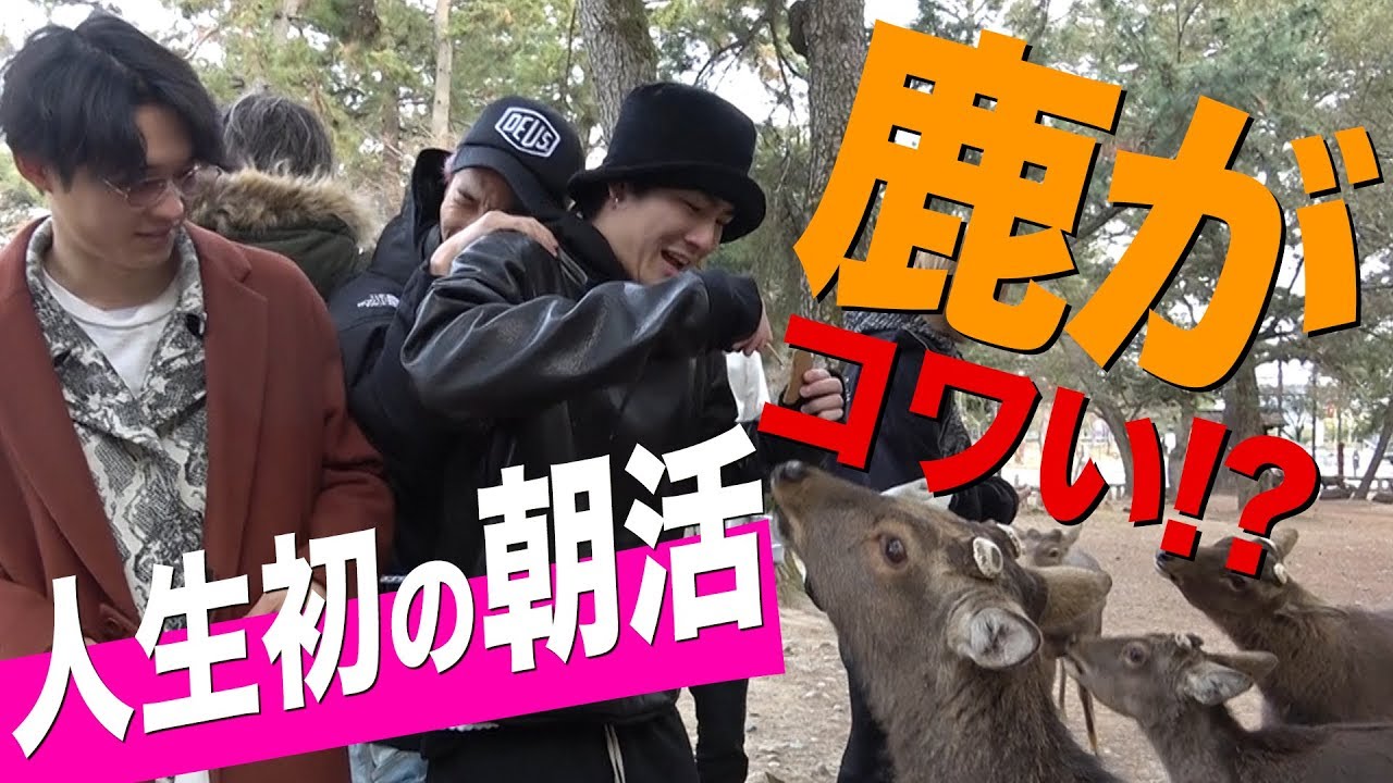 SixTONES【初めての朝活】鹿に囲まれ大ピンチ!?
