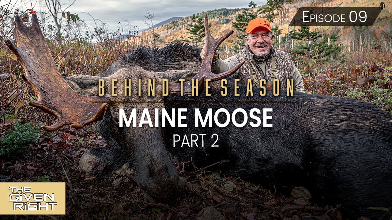 Moose Hunting in the Backcountry of Maine (4 Year Tradition) | Maine Moose Pt. 2