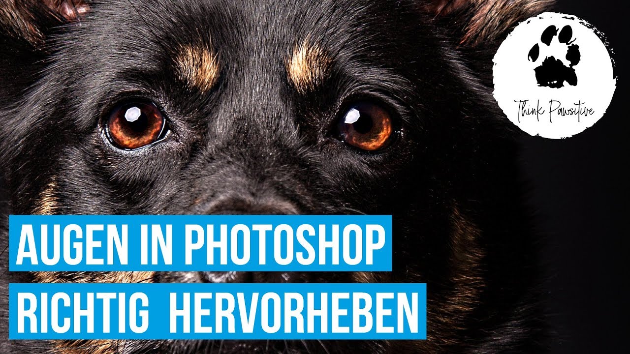 Augen in Photoshop bearbeiten /hervorheben / aufhellen - Hunde Fotografie