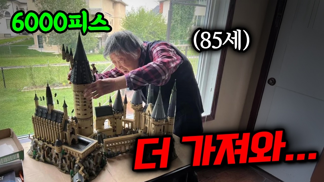 할머니가 뭘 아세요? 얕보다가 2주만에 6000 피스 조립하는 거 보고 오열한 레고매니아들