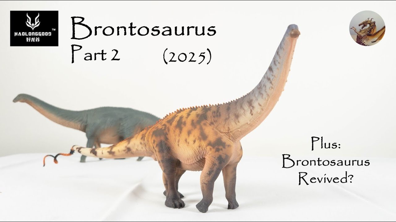 353: Haolonggood (好龙谷) Brontosaurus 2025 Review Part 2
