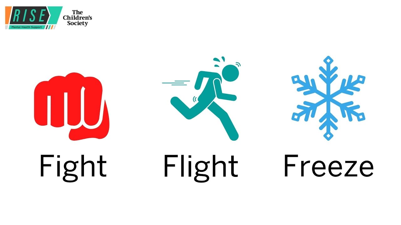 Fight, Flight or Freeze response (FFF) through a caveman analogy