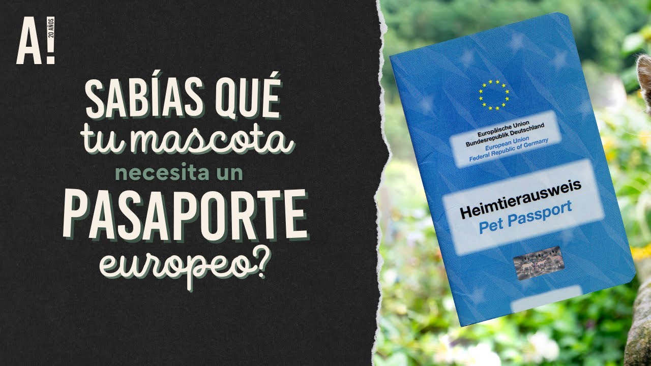 Pasaporte para Mascotas Europeo