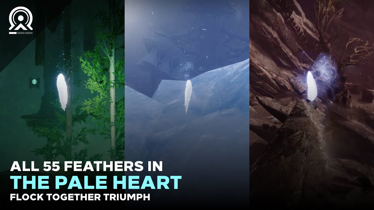 All 55 Feathers of Light in The Pale Heart (Flock Together Triumph) [Destiny 2]