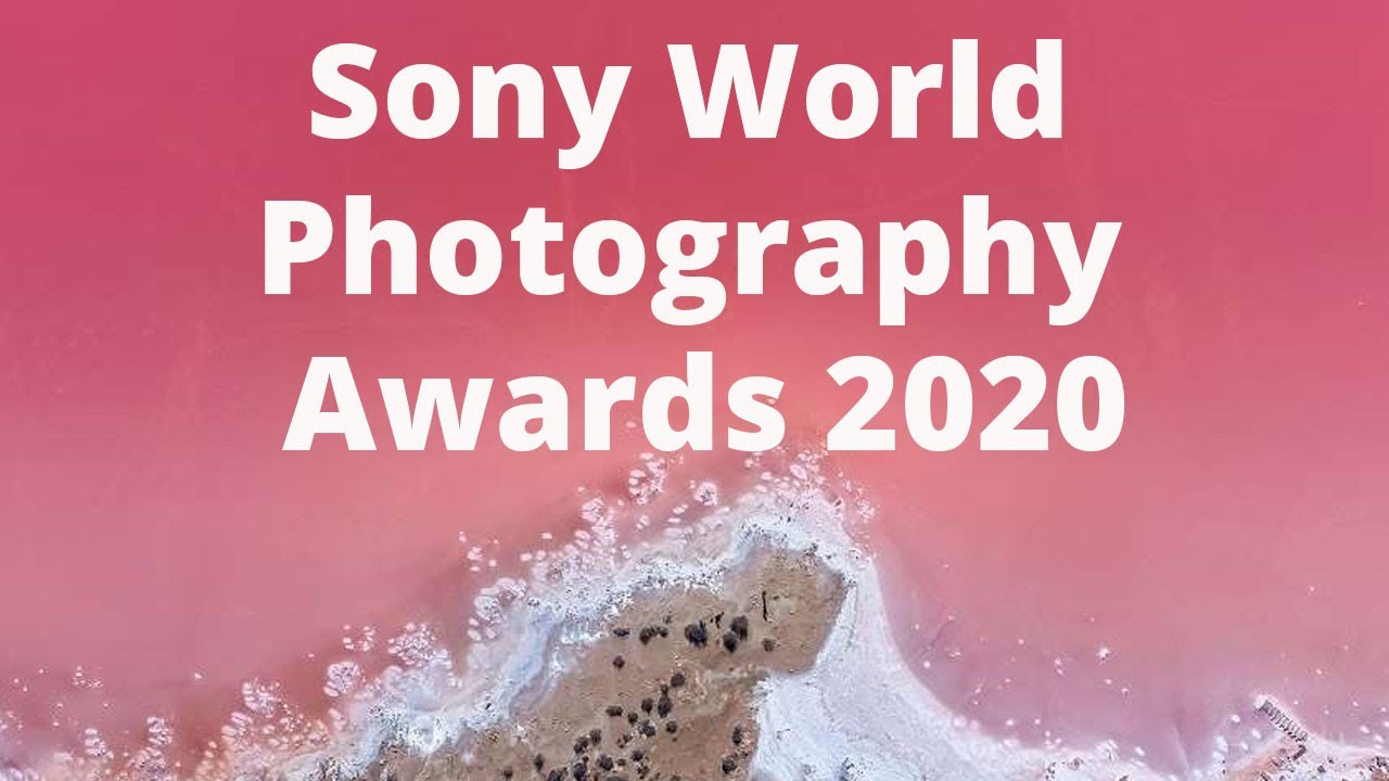 Sony World Photography Awards 2020
