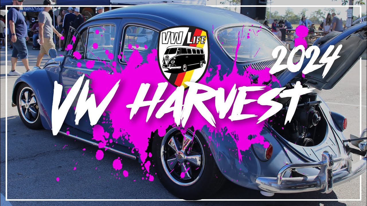 2024 VW HARVEST - WHAT AN EVENT!!
