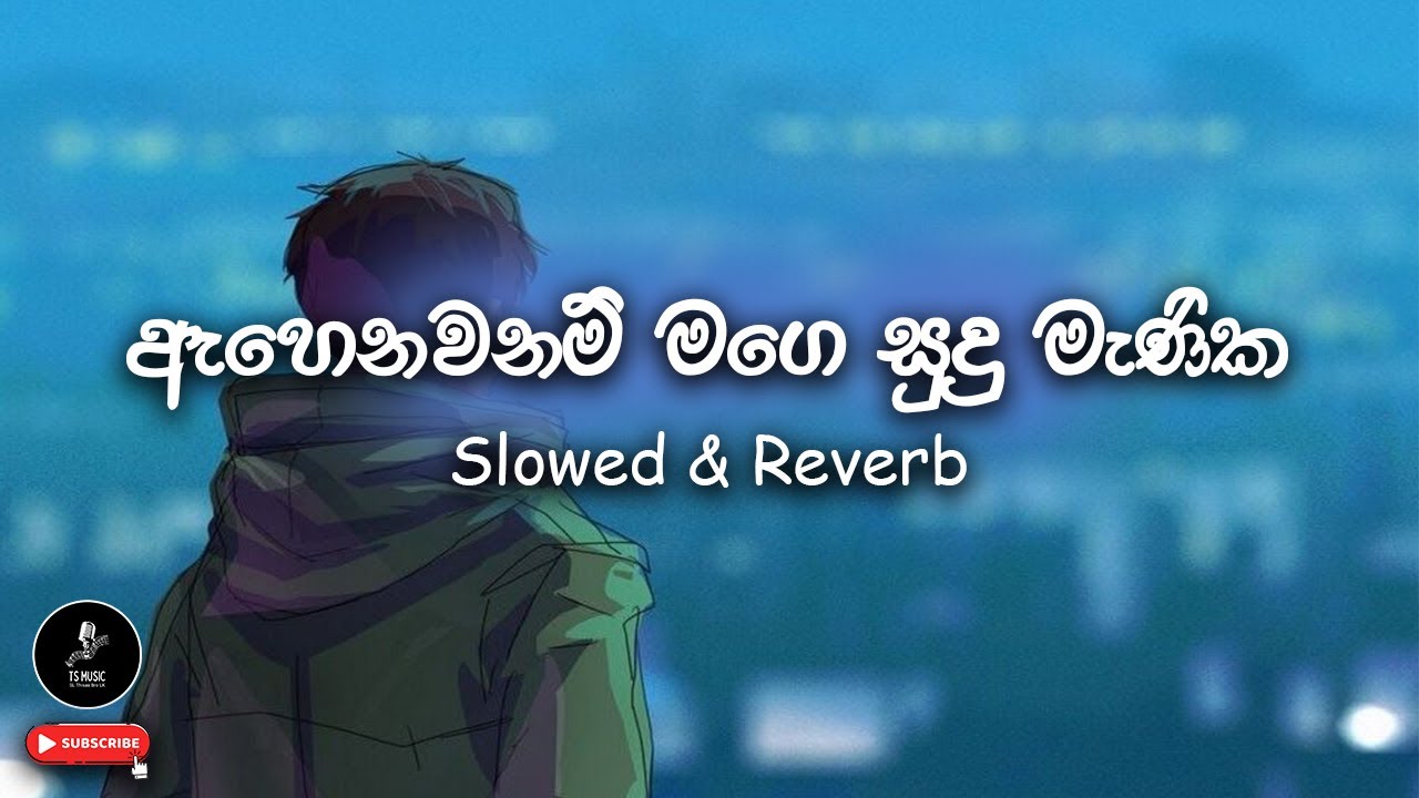 🎶 ඇහෙනවනම් මගේ සුදු මැනික | Ahenawanam Mage Sudu Manika | Slowed & Reverb | @TSMusic