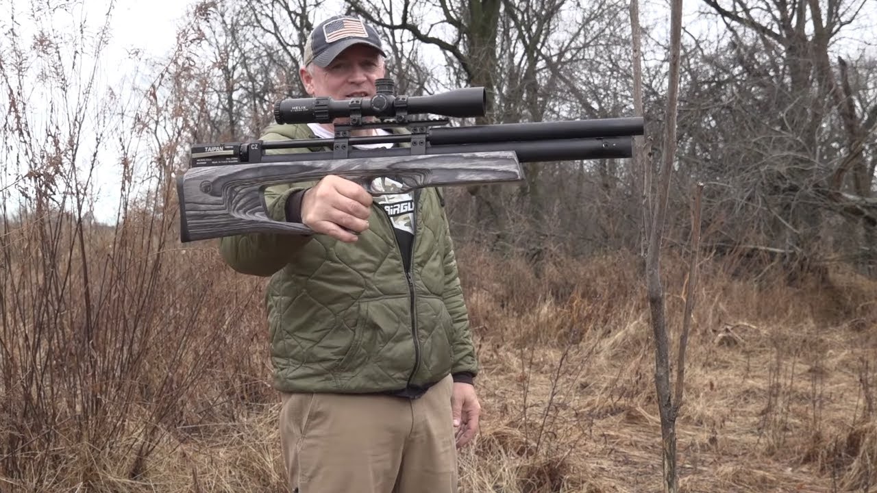 TAIPAN Veteran Long Caliber .25