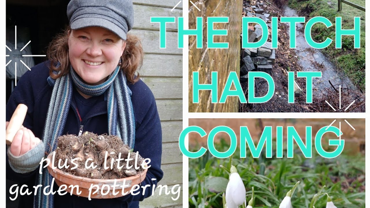 Getting motivated: Shifting rubble and planting things... VLOG
