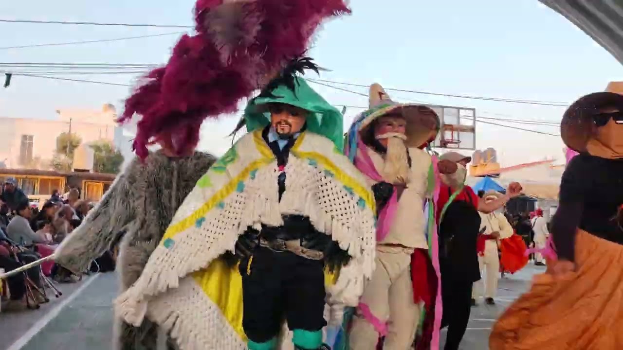TRADICIONAL CAMADA 