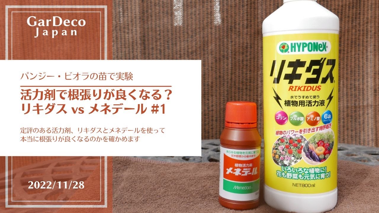 活力剤で根張りが良くなる？リキダスvsメネデール#1