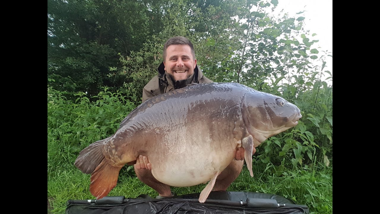 Carp fishing France - Etang Maubrant June 2017, Peche à la carpe