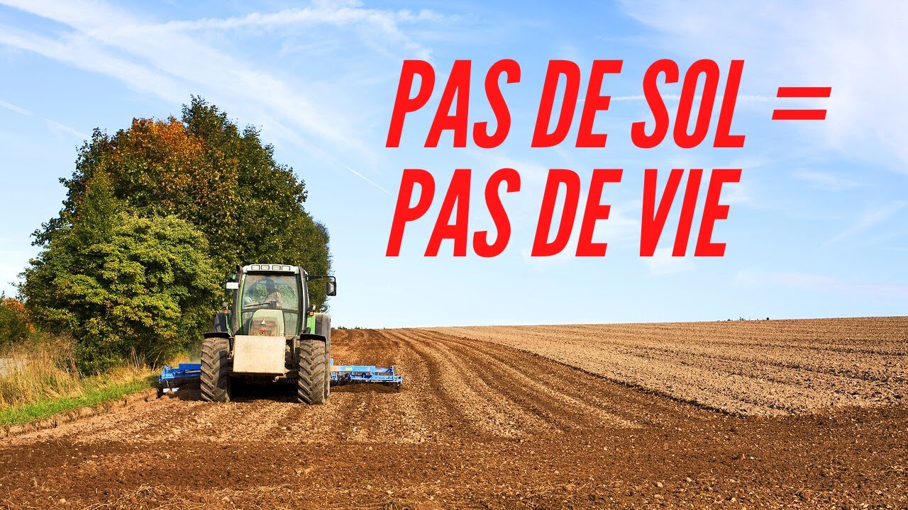 Les sols sont en péril (et c’est grave) - Le problème de l’artificialisation des sols