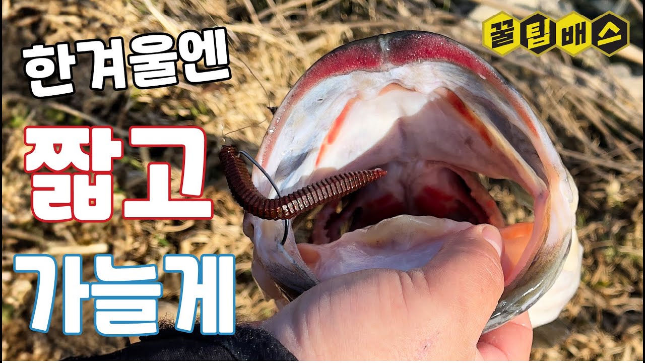 한 방이 있는 한겨울 배스낚시