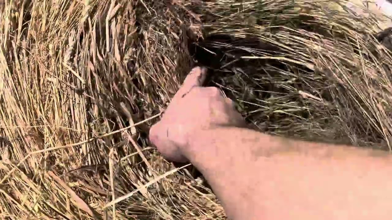 Mini Round Bale Wrapped (Post Heat Cycled) Testing